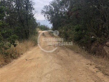 Imagen 9