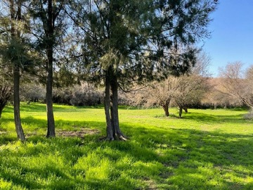 Venta / Parcela / Curacaví