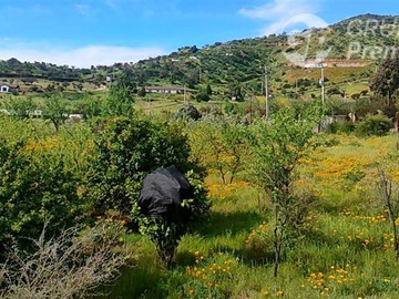 Imagen 14