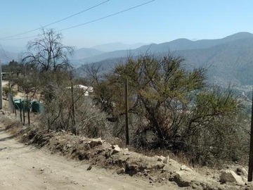 Imagen 9