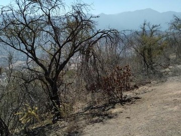Imagen 6