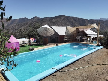 Venta / Parcela / Curacaví