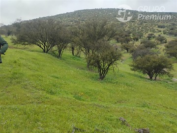 Imagen 12