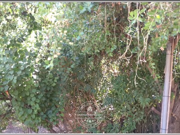 Imagen 12