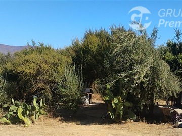 Imagen 18