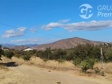 Imagen 8