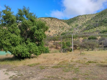 Imagen 14