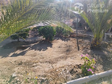 Imagen 26