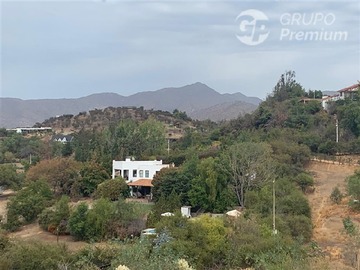 Imagen 6