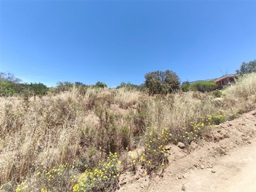 Venta / Parcela / Curacaví