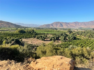 Venta / Parcela / Curacaví