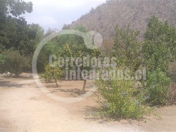 Imagen 21