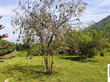 Imagen 8