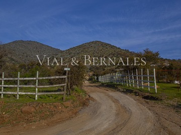 Venta / Parcela / Curacaví