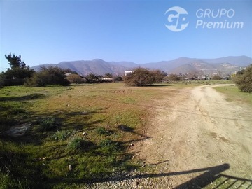 Imagen 16