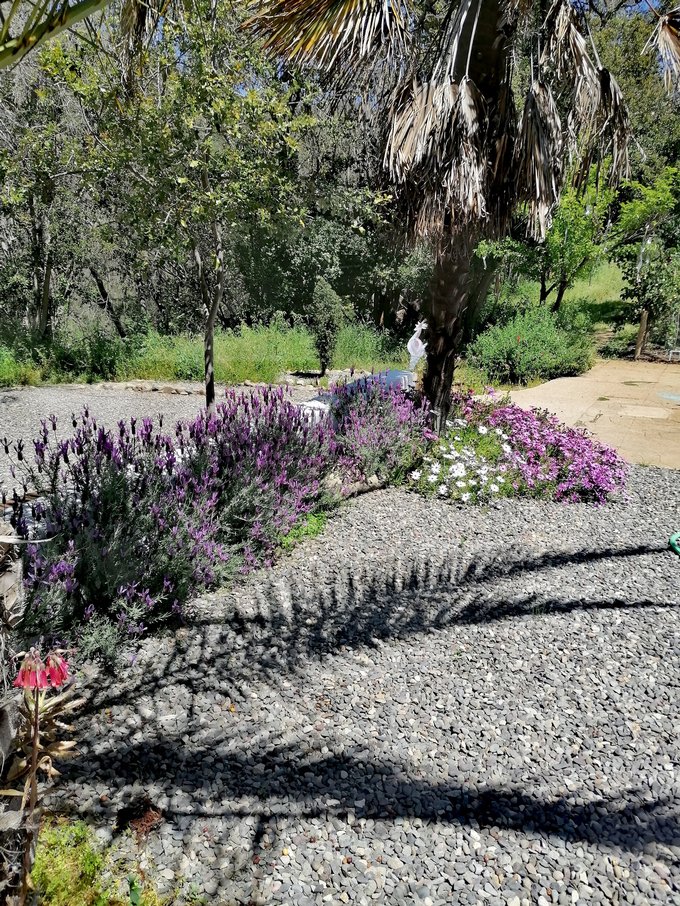 jardines