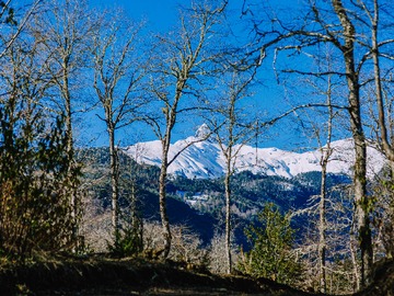 Venta / Parcela / Curarrehue