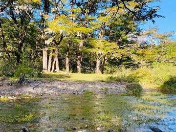 Venta / Parcela / Curarrehue