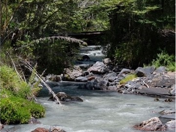 Imagen 8