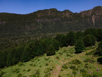 Venta / Parcela / Curarrehue