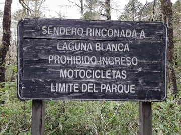 Imagen 7