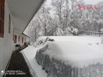 Imagen 22