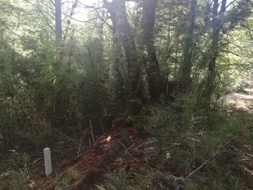 Venta / Parcela / Curarrehue