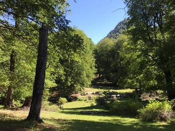 Venta / Parcela / Curarrehue