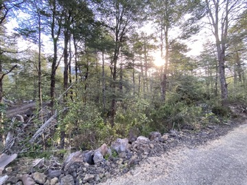 Venta / Parcela / Curarrehue