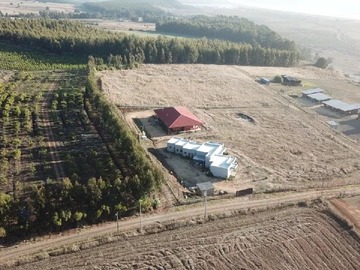 Venta / Parcela / Curepto