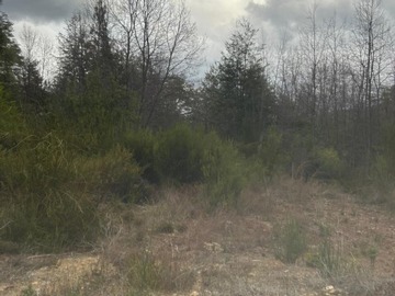 Venta / Parcela / Curicó