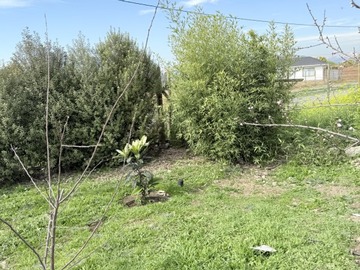 Imagen 26