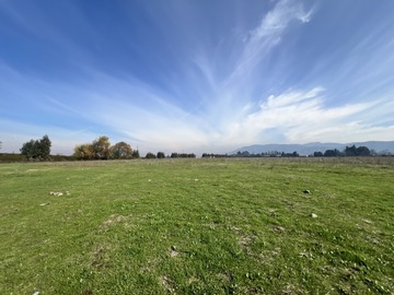 Venta / Parcela / Curicó