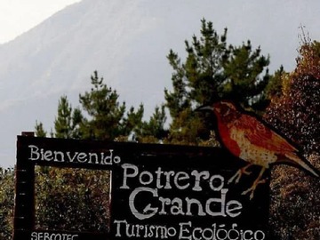 Venta / Parcela / Curicó
