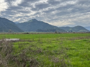 Venta / Parcela / Curicó