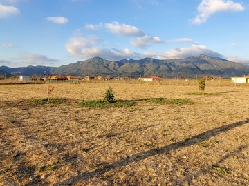 Venta / Parcela / Curicó