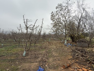Venta / Parcela / Curicó