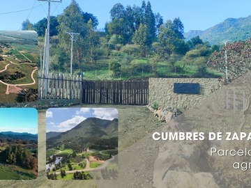 Venta / Parcela / Curicó