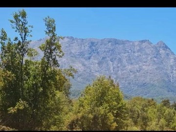 Imagen 9