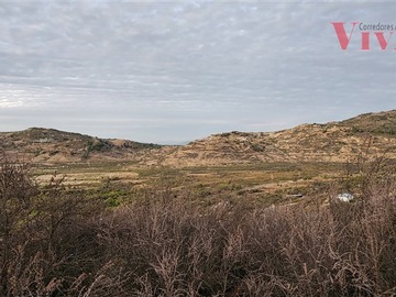 Venta / Parcela / Curicó