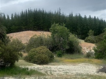 Venta / Parcela / Curicó