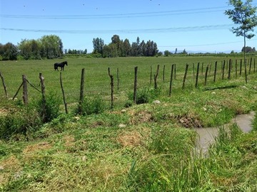 Venta / Parcela / Curicó