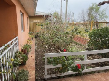 Imagen 20