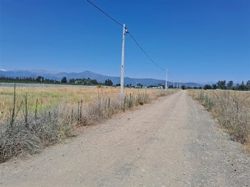Imagen 5