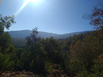 Venta / Parcela / Curicó