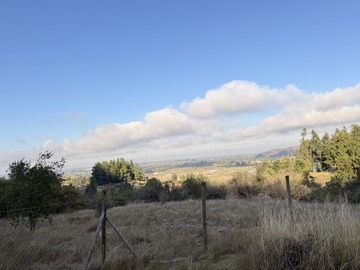 Venta / Parcela / Curicó