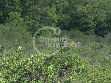 Imagen 7