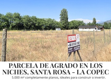 Venta / Parcela / Curicó