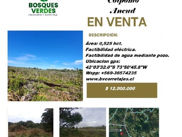 Venta / Parcela / Dalcahue