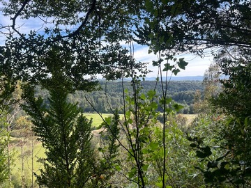 Venta / Parcela / Dalcahue